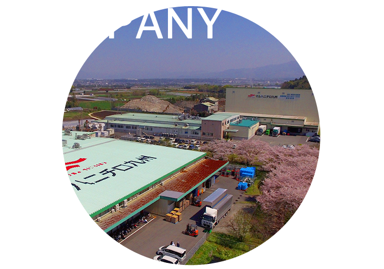 COMPANY